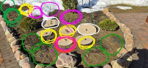 20260322_111356(1).jpg