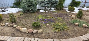 20260405_130929.jpg