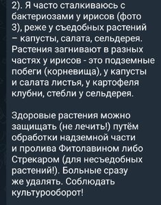 Screenshot_20260408_235401_Telegram.jpg