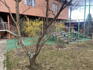 IMG_6942.jpeg