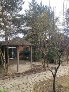 IMG_6944.jpeg
