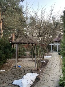 IMG_6903.jpeg