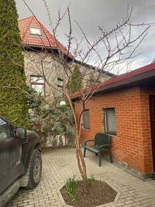 IMG_6937.jpeg