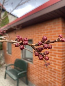 IMG_6936.jpeg