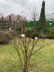 IMG_6993.jpeg