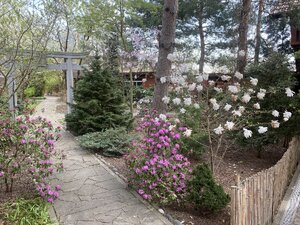 IMG_7266.jpeg