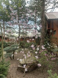 IMG_7267.jpeg