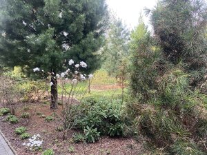IMG_7255.jpeg