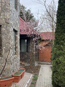 IMG_7179.jpeg