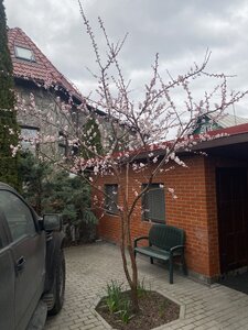 IMG_7133.jpeg