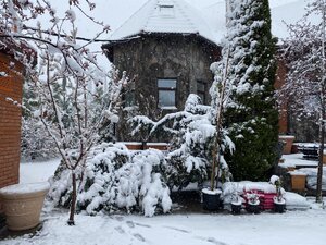 IMG_7190.jpeg