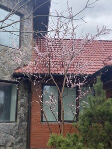 IMG_7122.jpeg