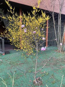 IMG_7174.jpeg