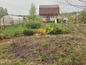IMG_20260508_153143_506.jpg