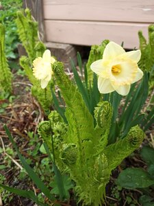 IMG_20260508_160757_659.jpg