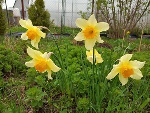 IMG_20260508_153913_930.jpg