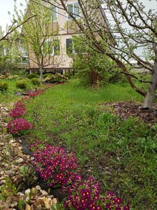 IMG_20260508_154929_641.jpg