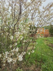 IMG_20260508_154548_204.jpg