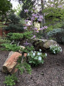 IMG_7418.jpeg