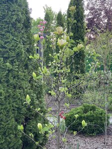 IMG_7394.jpeg