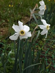 0ea7d572-38ef-43e6-ab34-4604f07a9dd2.jpg