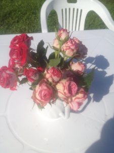 IMG_0867.JPG