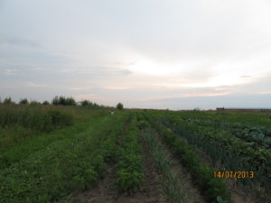 IMG_9016.JPG