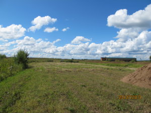 IMG_9033.JPG