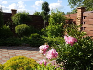 20170625_172931.jpg