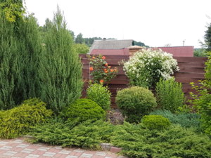 20170709_085556.jpg