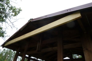 P1170048_resize.JPG