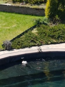 20170516_122740.jpg