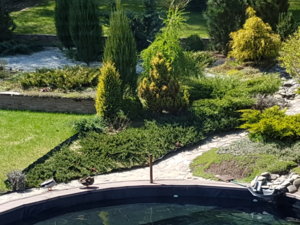 20170516_122828.jpg