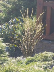 20170513_090253.jpg