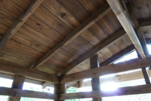 P1170090_resize.JPG