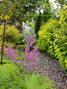 20170718_134433.jpg