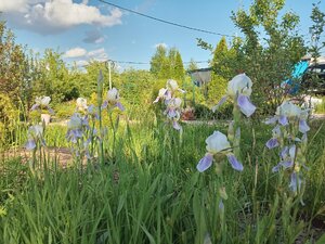 IMG_20260605_175754_041.jpg