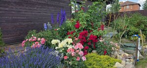 20260701_130307.jpg