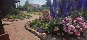 20260702_130801.jpg