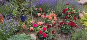 20260704_163921.jpg
