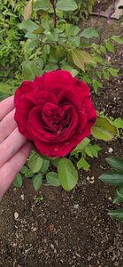 20260705_103309.jpg