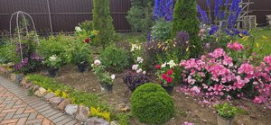 20260706_164012.jpg