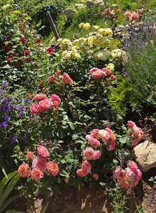 20260623_090031(1).jpg