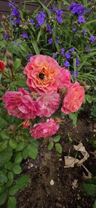 20260625_120054.jpg