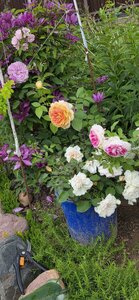 20260711_182900.jpg