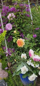 20260711_182840.jpg