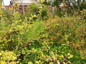 IMG_20260715_095448_941.jpg