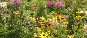 IMG_20260715_094600_036.jpg