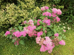 IMG_20260715_093814_507.jpg