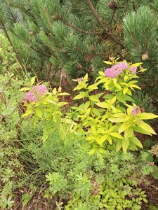 IMG_20260715_093835_790.jpg